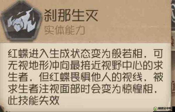 我是刹那，揭秘快速升级高效攻略与实用小技巧的独家秘籍